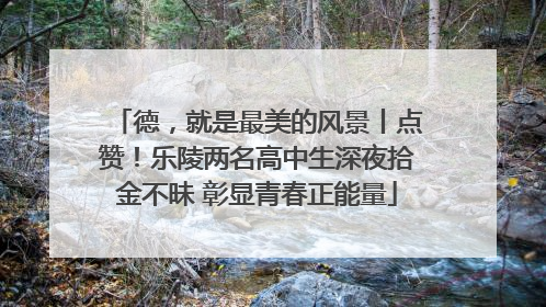 德，就是最美的风景丨点赞！乐陵两名高中生深夜拾金不昧 彰显青春正能量