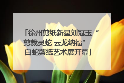 徐州剪纸新星刘冠玉“剪裁灵蛇 云龙纳福” 白蛇剪纸艺术展开幕
