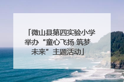 微山县第四实验小学举办“童心飞扬 筑梦未来”主题活动