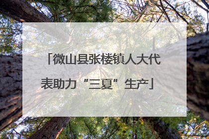 微山县张楼镇人大代表助力“三夏”生产