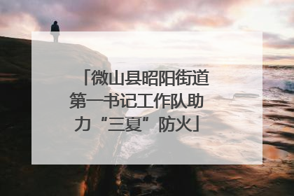 微山县昭阳街道第一书记工作队助力“三夏”防火