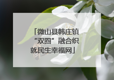 微山县韩庄镇“双圈”融合织就民生幸福网