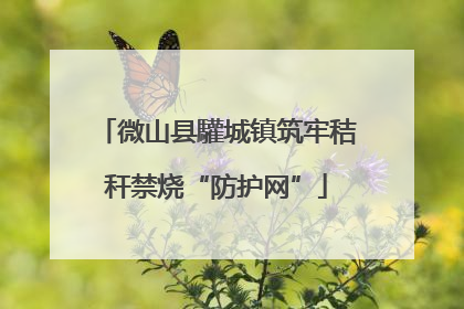 微山县驩城镇筑牢秸秆禁烧“防护网”