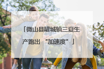 微山县驩城镇三夏生产跑出 “加速度”