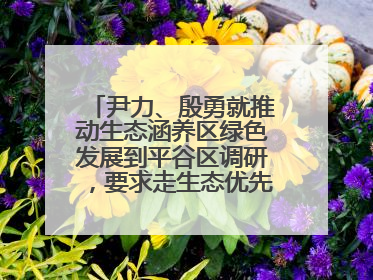 尹力、殷勇就推动生态涵养区绿色发展到平谷区调研，要求走生态优先、绿色低碳的高质量发展之路