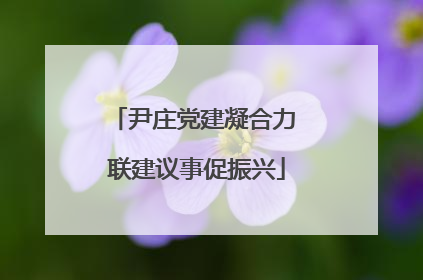 尹庄党建凝合力 联建议事促振兴