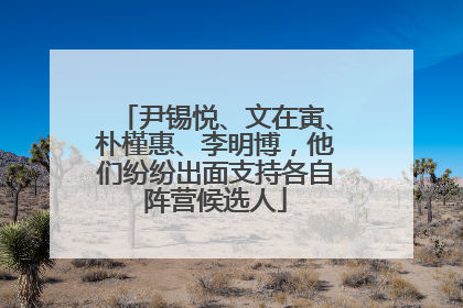 尹锡悦、文在寅、朴槿惠、李明博，他们纷纷出面支持各自阵营候选人