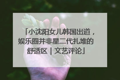 小沈阳女儿韩国出道，娱乐圈并非星二代扎堆的舒适区｜文艺评论