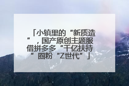 小镇里的“新质造”，国产原创主题服借拼多多“千亿扶持”圈粉“Z世代”
