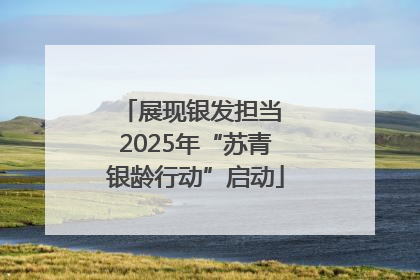 展现银发担当 2025年“苏青银龄行动”启动