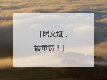 屠文斌，被重罚！