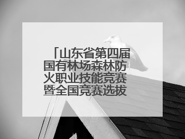山东省第四届国有林场森林防火职业技能竞赛暨全国竞赛选拔赛鸣锣开赛