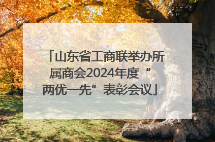 山东省工商联举办所属商会2024年度“两优一先”表彰会议