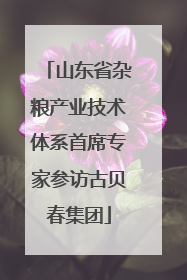 山东省杂粮产业技术体系首席专家参访古贝春集团