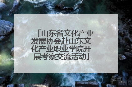 山东省文化产业发展协会赴山东文化产业职业学院开展考察交流活动