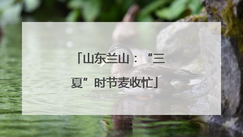 山东兰山：“三夏”时节麦收忙