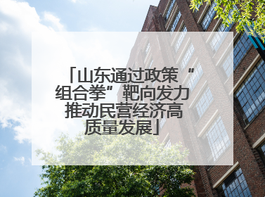 山东通过政策“组合拳”靶向发力 推动民营经济高质量发展