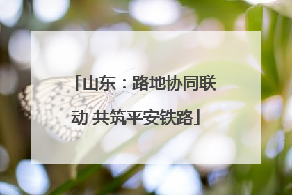 山东：路地协同联动 共筑平安铁路