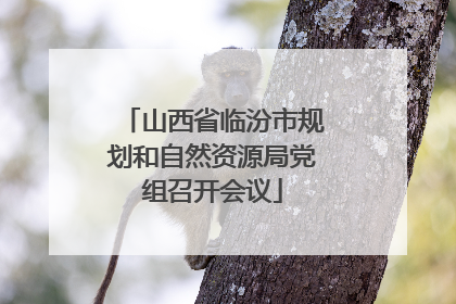 山西省临汾市规划和自然资源局党组召开会议