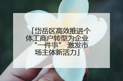 岱岳区高效推进个体工商户转型为企业“一件事” 激发市场主体新活力