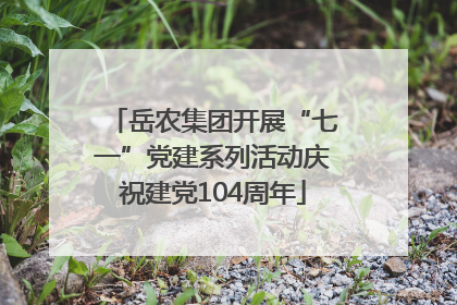 岳农集团开展“七一”党建系列活动庆祝建党104周年