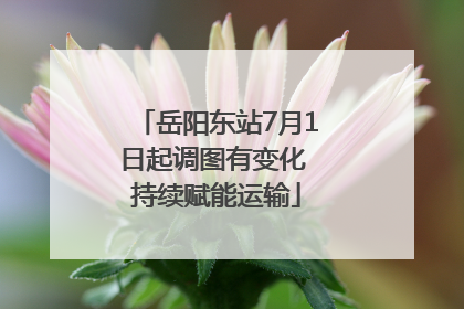 岳阳东站7月1日起调图有变化 持续赋能运输