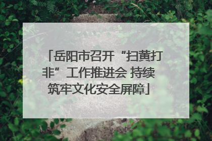 岳阳市召开“扫黄打非”工作推进会 持续筑牢文化安全屏障