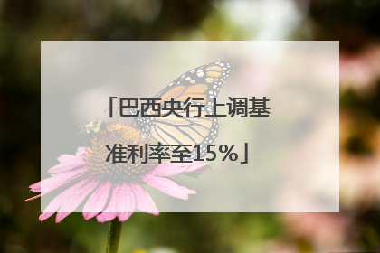 巴西央行上调基准利率至15％