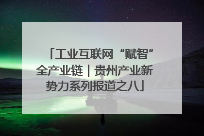 工业互联网“赋智”全产业链｜贵州产业新势力系列报道之八