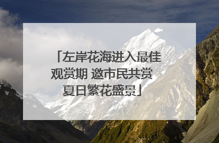 左岸花海进入最佳观赏期 邀市民共赏夏日繁花盛景