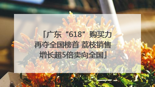 广东“618”购买力再夺全国榜首 荔枝销售增长超5倍卖向全国