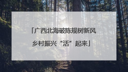 广西北海破陈规树新风 乡村振兴“活”起来