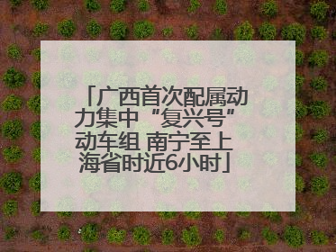 广西首次配属动力集中“复兴号”动车组 南宁至上海省时近6小时