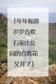 年年如意 岁岁合欢 石家庄公园的合欢花又开了