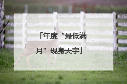 年度“最低满月”现身天宇