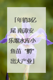 年销3亿尾 南漳安乐堰水库小鱼苗“孵”出大产业