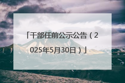 干部任前公示公告（2025年5月30日）