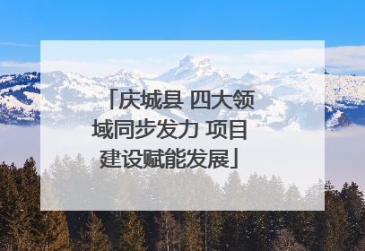 庆城县 四大领域同步发力 项目建设赋能发展