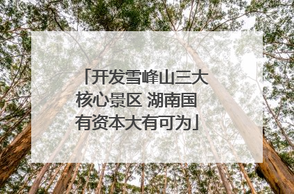 开发雪峰山三大核心景区 湖南国有资本大有可为