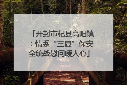 开封市杞县高阳镇：情系“三夏”保安全统战慰问暖人心