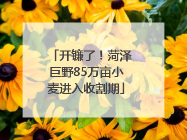 开镰了！菏泽巨野85万亩小麦进入收割期