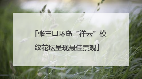 张三口环岛“祥云”模纹花坛呈现最佳景观