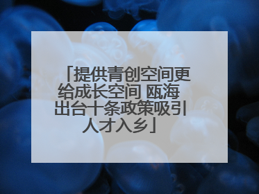 提供青创空间更给成长空间 瓯海出台十条政策吸引人才入乡