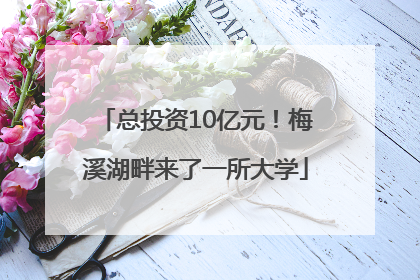 总投资10亿元！梅溪湖畔来了一所大学
