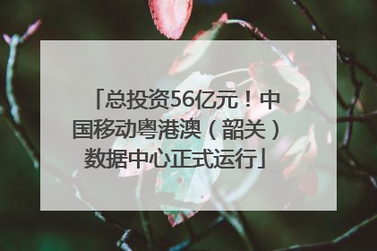 总投资56亿元！中国移动粤港澳（韶关）数据中心正式运行