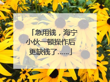 急用钱，海宁小伙一顿操作后更缺钱了……