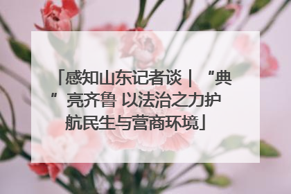 感知山东记者谈｜“典”亮齐鲁 以法治之力护航民生与营商环境