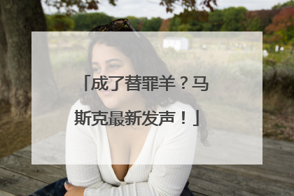 成了替罪羊？马斯克最新发声！