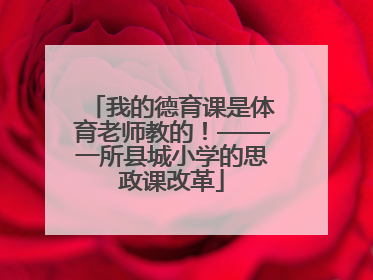 我的德育课是体育老师教的！——一所县城小学的思政课改革