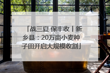 战三夏 保丰收丨新乡县：20万亩小麦种子田开启大规模收割